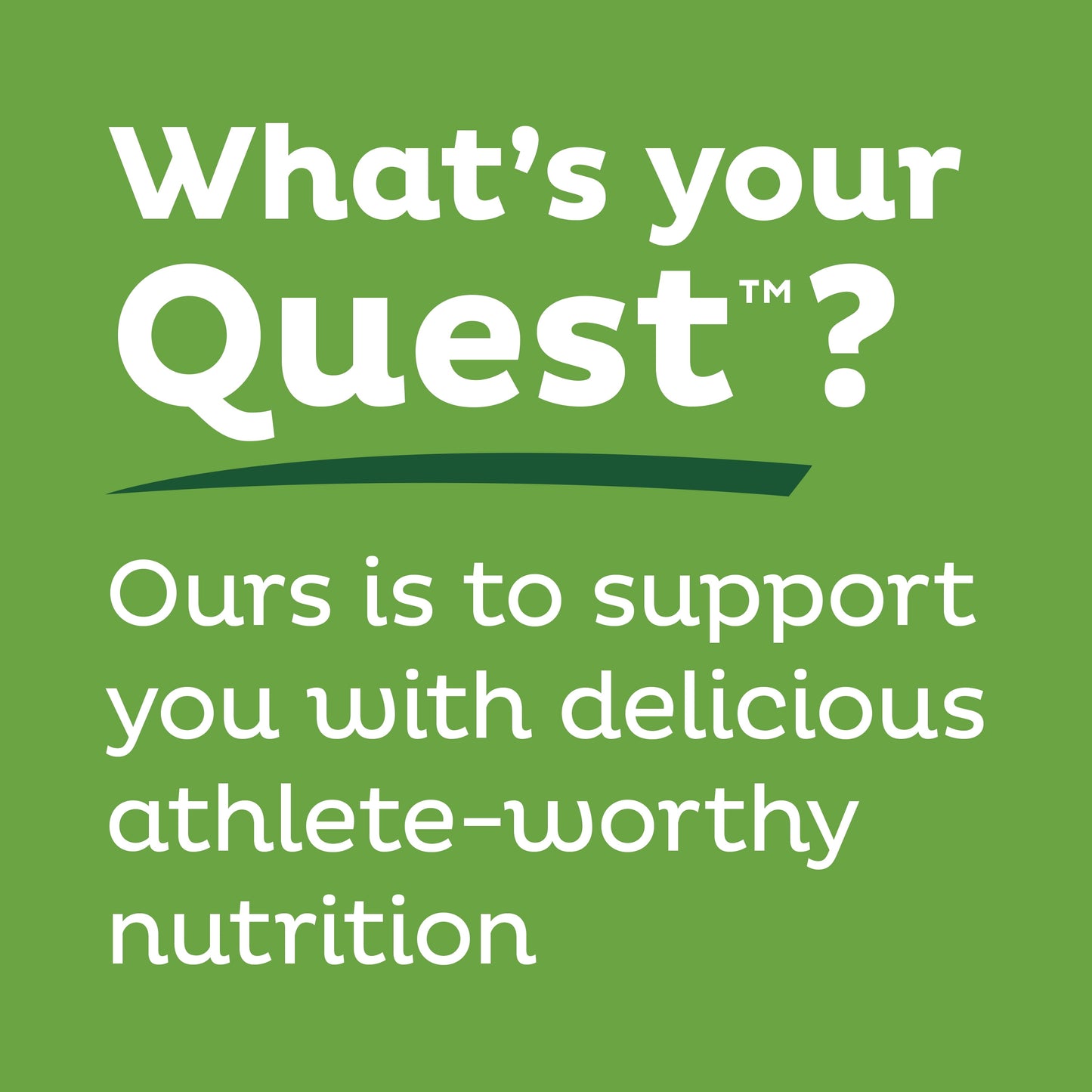 Quest Protien Bars, Low Sugar, High Protien, Apple Pie, 12 Count